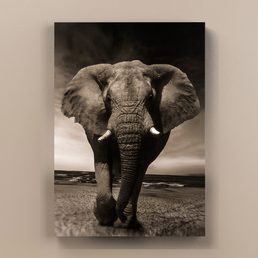 Kunstdruck Elefant