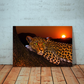 Kunstdruck Leopard