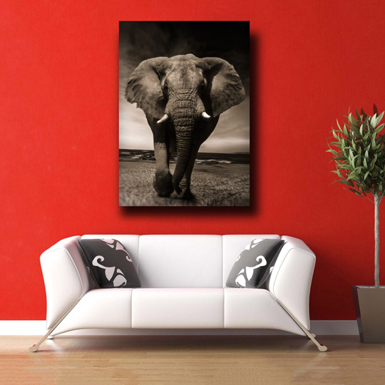 Kunstdruck Elefant