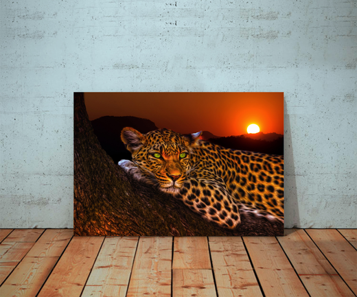 Kunstdruck Leopard
