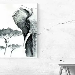 Kunstdruck Elefant Skizze – Nur der halbe Elefantenkopf mit mächtigem Stoßzahn ragt ins Bild, daneben stehen zarte Akazien in grauen Tuschetönen auf viel weißem Raum